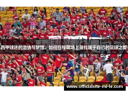 西甲球迷的激情与梦想：如何在绿茵场上寻找属于自己的足球之爱