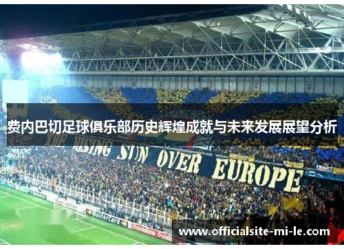 费内巴切足球俱乐部历史辉煌成就与未来发展展望分析