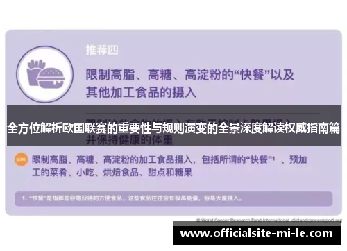 全方位解析欧国联赛的重要性与规则演变的全景深度解读权威指南篇