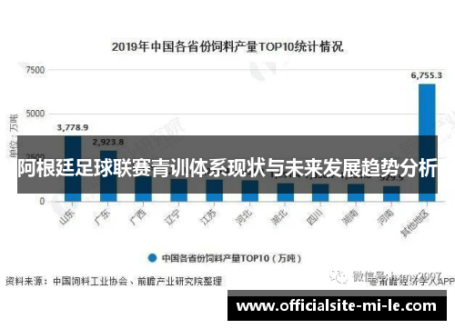 阿根廷足球联赛青训体系现状与未来发展趋势分析